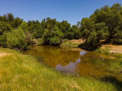Stony Creek Rd, Jackson, CA 95642 Photo