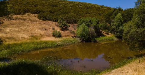 Stony Creek Rd, Jackson, CA 95642 Photo