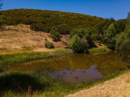 Stony Creek Rd, Jackson, CA 95642 Photo