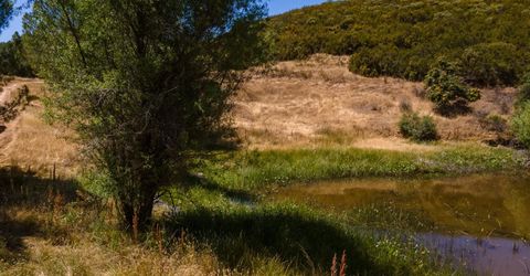 Stony Creek Rd, Jackson, CA 95642 Photo
