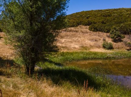 Stony Creek Rd, Jackson, CA 95642 Photo