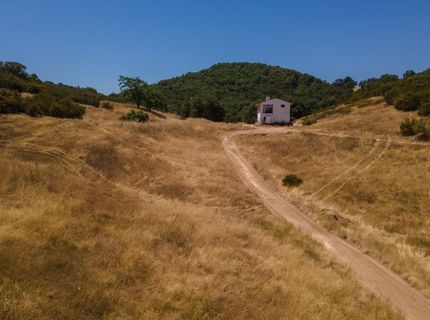 Stony Creek Rd, Jackson, CA 95642 Photo