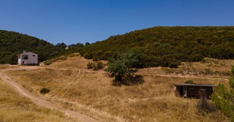 Stony Creek Rd, Jackson, CA 95642 Photo