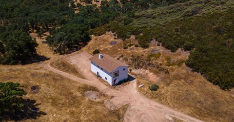 Stony Creek Rd, Jackson, CA 95642 Photo