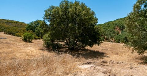 Stony Creek Rd, Jackson, CA 95642 Photo