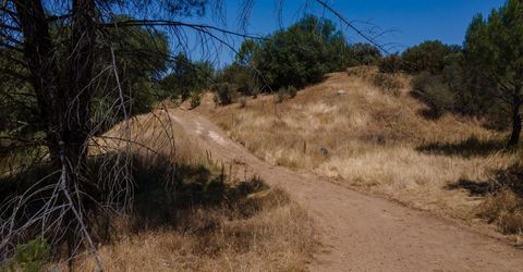 Stony Creek Rd, Jackson, CA 95642 Photo