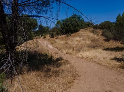 Stony Creek Rd, Jackson, CA 95642 Photo