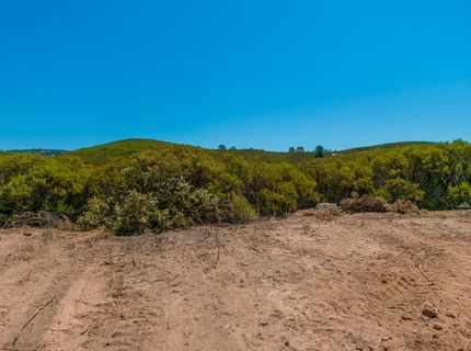 Stony Creek Rd, Jackson, CA 95642 Photo