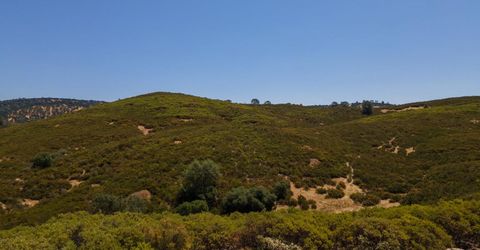 Stony Creek Rd, Jackson, CA 95642 Photo