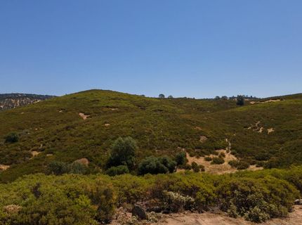 Stony Creek Rd, Jackson, CA 95642 Photo