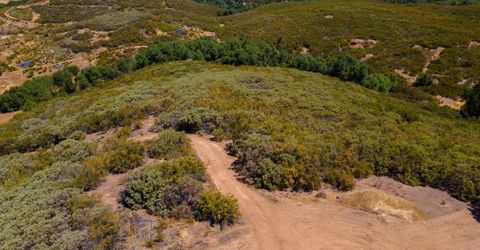 Stony Creek Rd, Jackson, CA 95642 Photo