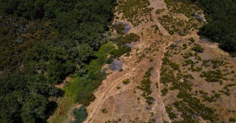Stony Creek Rd, Jackson, CA 95642 Photo