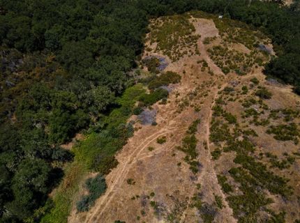 Stony Creek Rd, Jackson, CA 95642 Photo