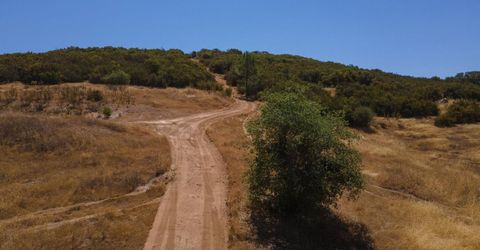 Stony Creek Rd, Jackson, CA 95642 Photo