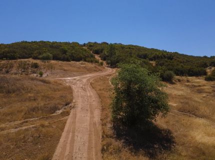 Stony Creek Rd, Jackson, CA 95642 Photo