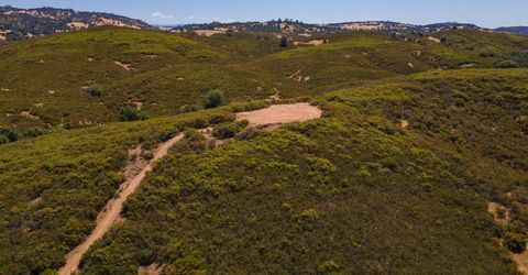 Stony Creek Rd, Jackson, CA 95642 Photo