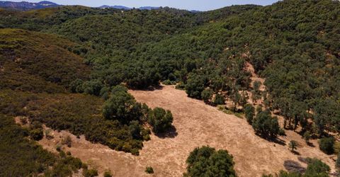 Stony Creek Rd, Jackson, CA 95642 Photo