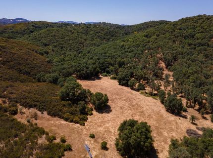 Stony Creek Rd, Jackson, CA 95642 Photo