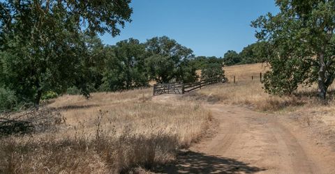 Stony Creek Rd, Jackson, CA 95642 Photo