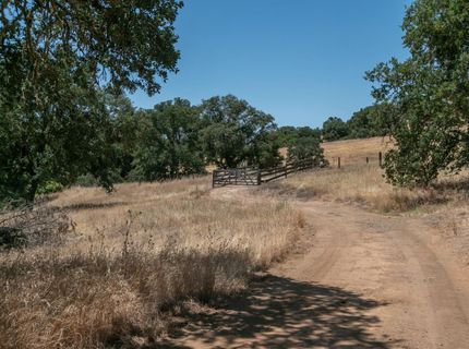 Stony Creek Rd, Jackson, CA 95642 Photo