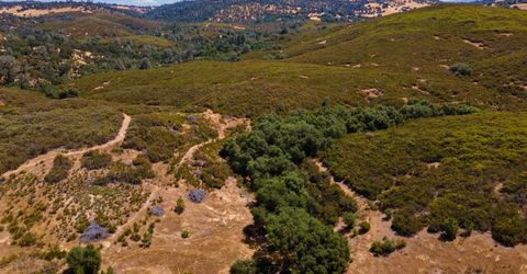 Stony Creek Rd, Jackson, CA 95642 Photo