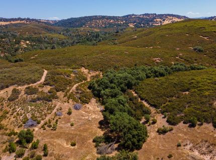 Stony Creek Rd, Jackson, CA 95642 Photo