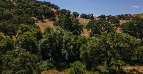 Stony Creek Rd, Jackson, CA 95642 Photo