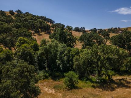 Stony Creek Rd, Jackson, CA 95642 Photo