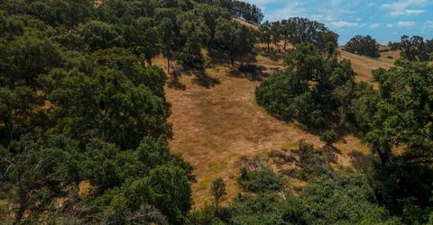 Stony Creek Rd, Jackson, CA 95642 Photo