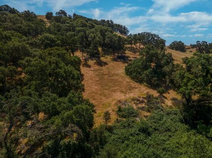 Stony Creek Rd, Jackson, CA 95642 Photo