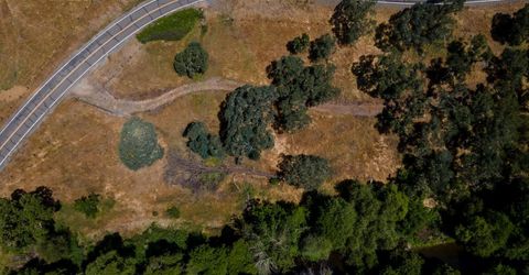 Stony Creek Rd, Jackson, CA 95642 Photo