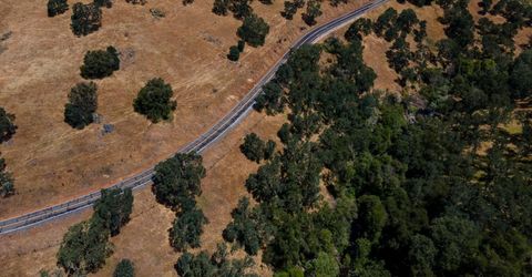 Stony Creek Rd, Jackson, CA 95642 Photo