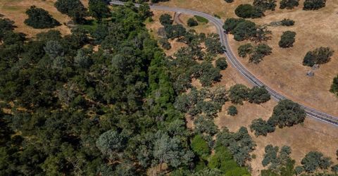 Stony Creek Rd, Jackson, CA 95642 Photo
