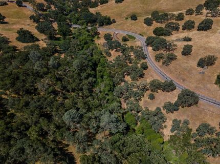Stony Creek Rd, Jackson, CA 95642 Photo