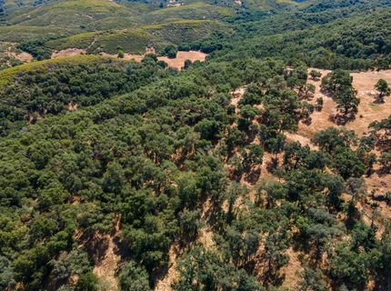Stony Creek Rd, Jackson, CA 95642 Photo