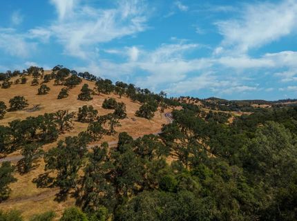 Stony Creek Rd, Jackson, CA 95642 Photo