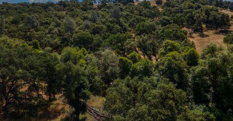 Stony Creek Rd, Jackson, CA 95642 Photo