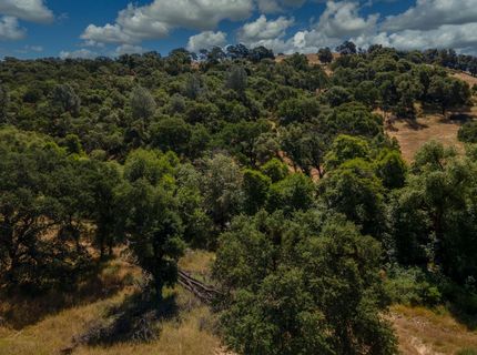 Stony Creek Rd, Jackson, CA 95642 Photo
