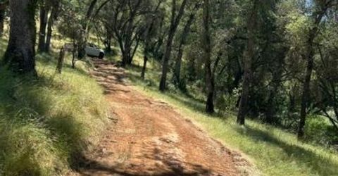 Stony Creek Rd, Jackson, CA 95642 Photo