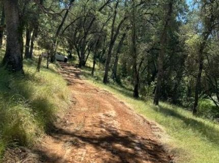 Stony Creek Rd, Jackson, CA 95642 Photo