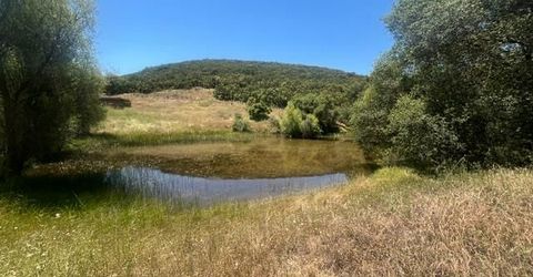 Stony Creek Rd, Jackson, CA 95642 Photo