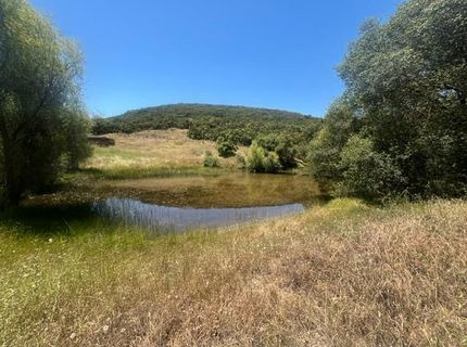Stony Creek Rd, Jackson, CA 95642 Photo