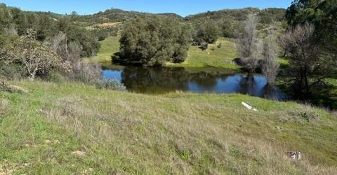 Stony Creek Rd, Jackson, CA 95642 Photo