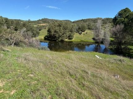 Stony Creek Rd, Jackson, CA 95642 Photo