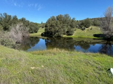 Stony Creek Rd, Jackson, CA 95642 Photo