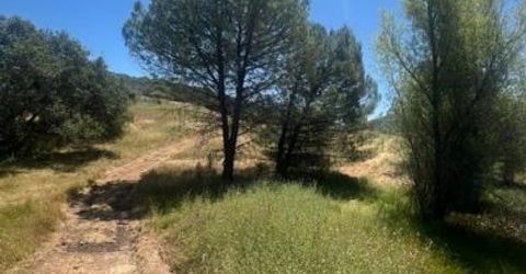 Stony Creek Rd, Jackson, CA 95642 Photo