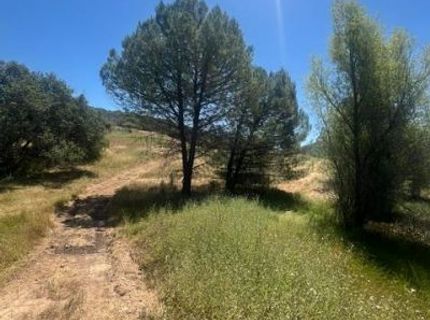 Stony Creek Rd, Jackson, CA 95642 Photo