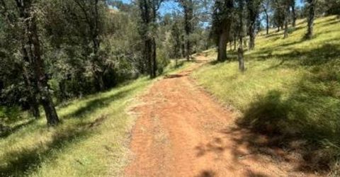 Stony Creek Rd, Jackson, CA 95642 Photo