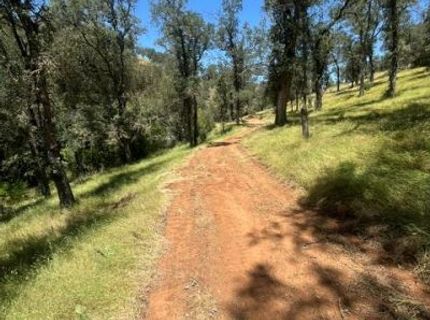 Stony Creek Rd, Jackson, CA 95642 Photo