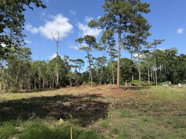 1005 JUNIPER DRIVE , CHRISTMAS, FL 32709